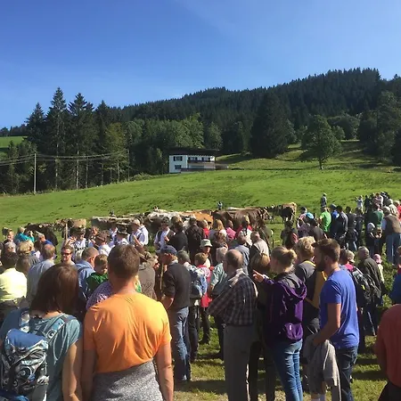 霍尔兹卡塔琳娜住宿加早餐旅馆 2*