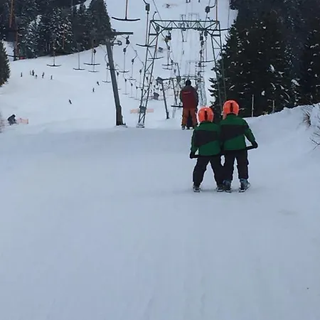 霍尔兹卡塔琳娜住宿加早餐旅馆 容霍尔茨