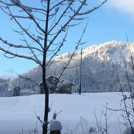 霍尔兹卡塔琳娜住宿加早餐旅馆 容霍尔茨