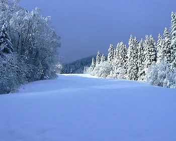 霍尔兹卡塔琳娜住宿加早餐旅馆 招待所 2*
