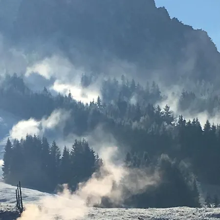 霍尔兹卡塔琳娜住宿加早餐旅馆 招待所 2*